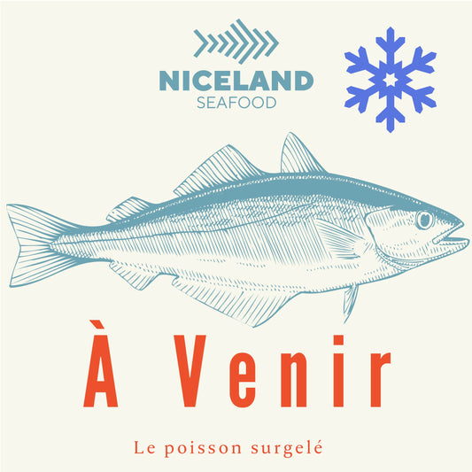 Portions d'églefin congelées