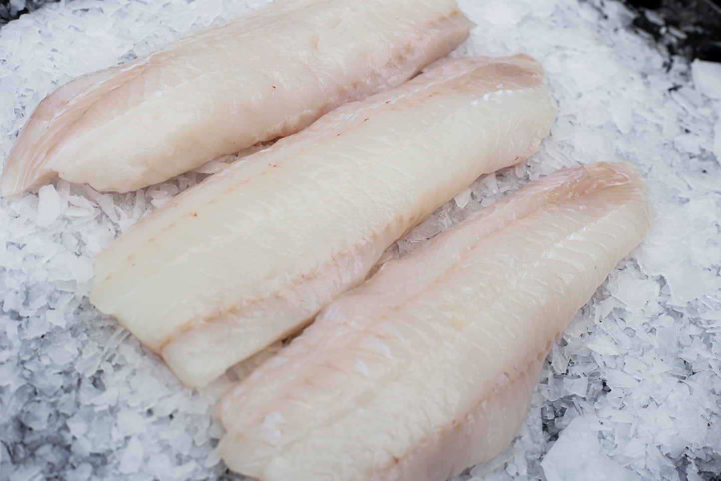 Eglefin (Melanogrammus aeglefinus) Dos Sans peau