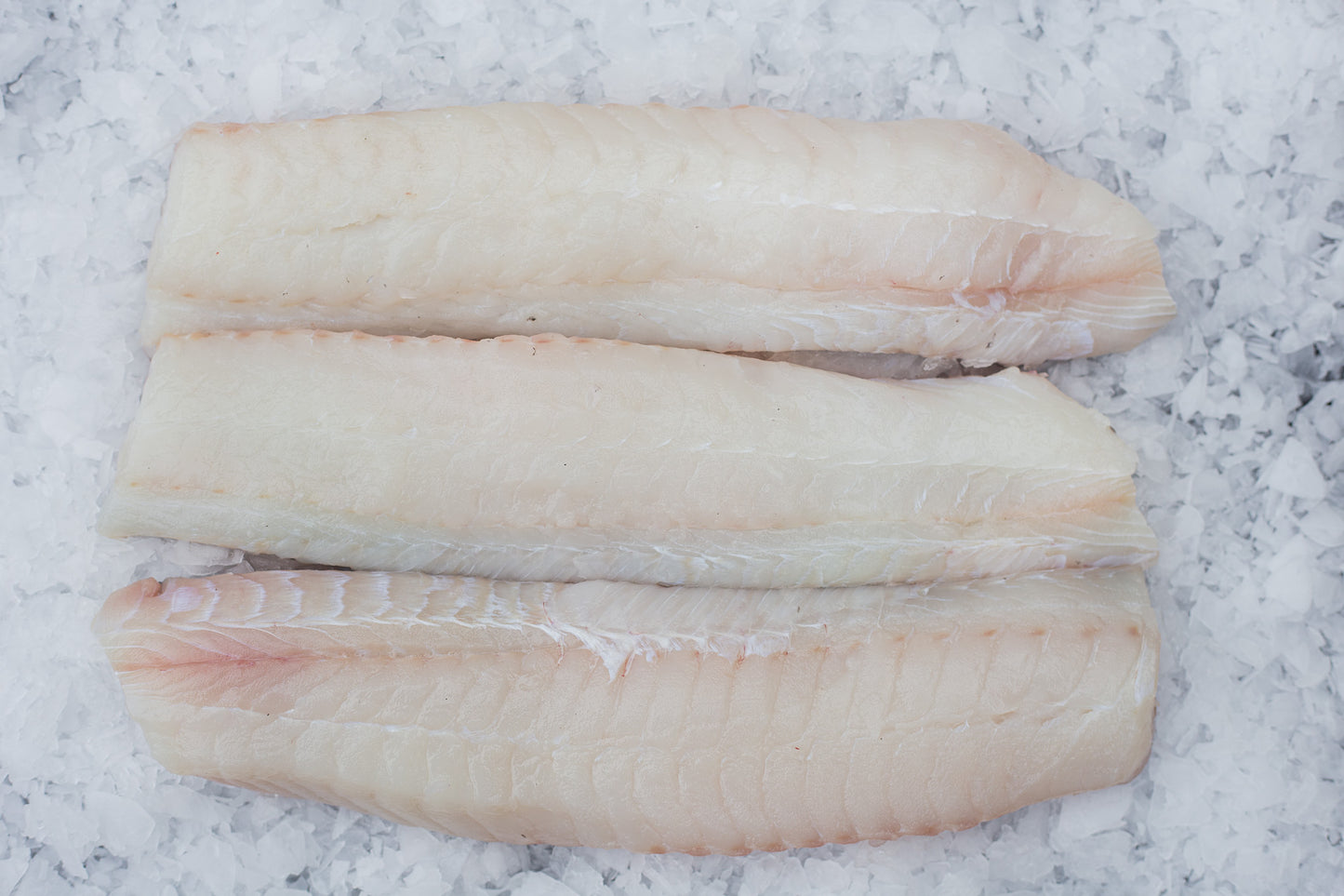 Eglefin (Melanogrammus aeglefinus) Dos Avec peau