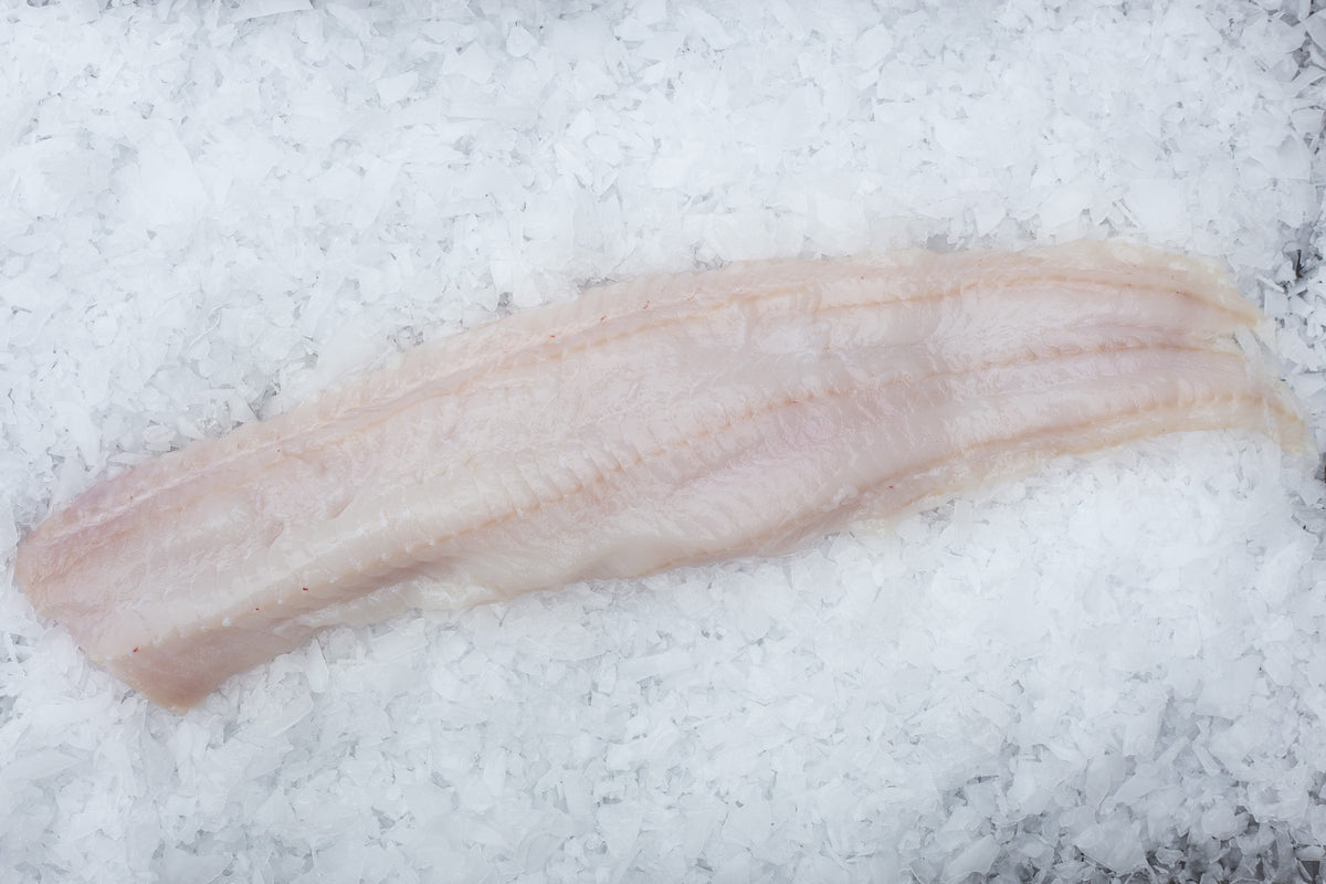 Filet de loup