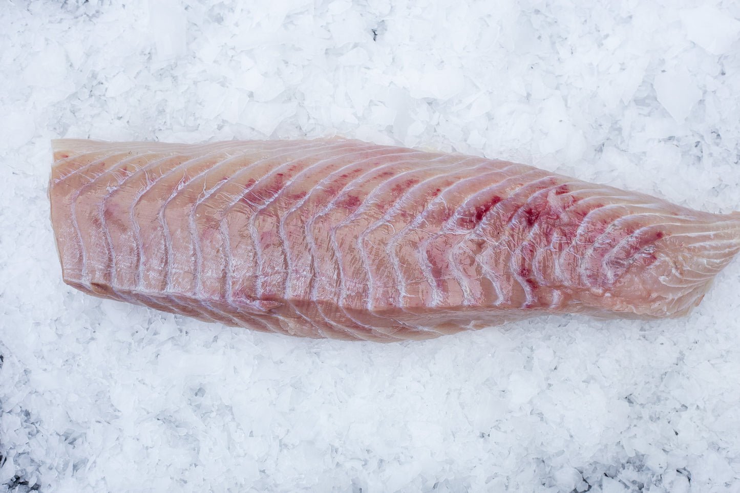 Lieu Noir (Pollachius virens) Dos Sans peau