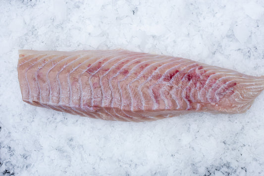 Lieu Noir (Pollachius virens) Dos Sans peau