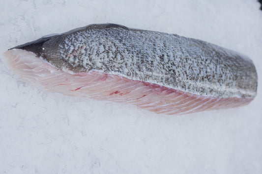 Lieu Noir (Pollachius virens) Dos Avec peau grattée