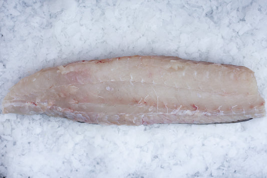 Lieu Noir (Pollachius virens) Dos Avec peau grattée