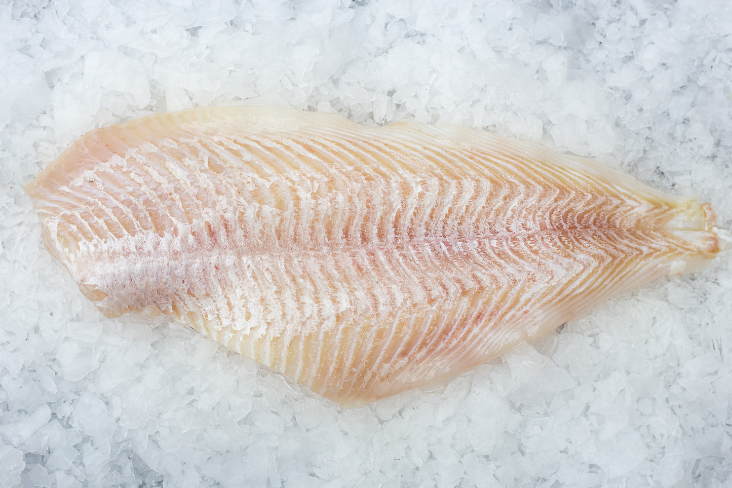 Plie (Pleuronectes platessa) Filet Sans peau