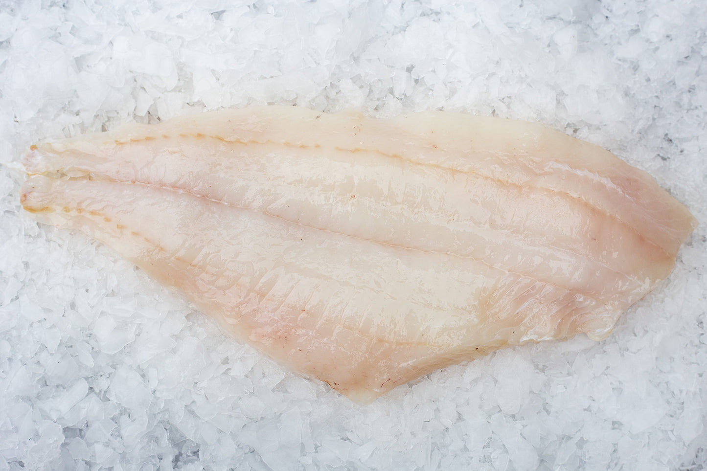 Plie (Pleuronectes platessa) Filet Sans peau