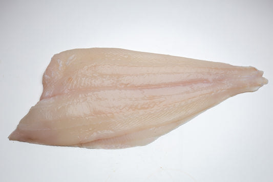 Grands Filets de Flétan Blanc Sauvage Frais d'Islande