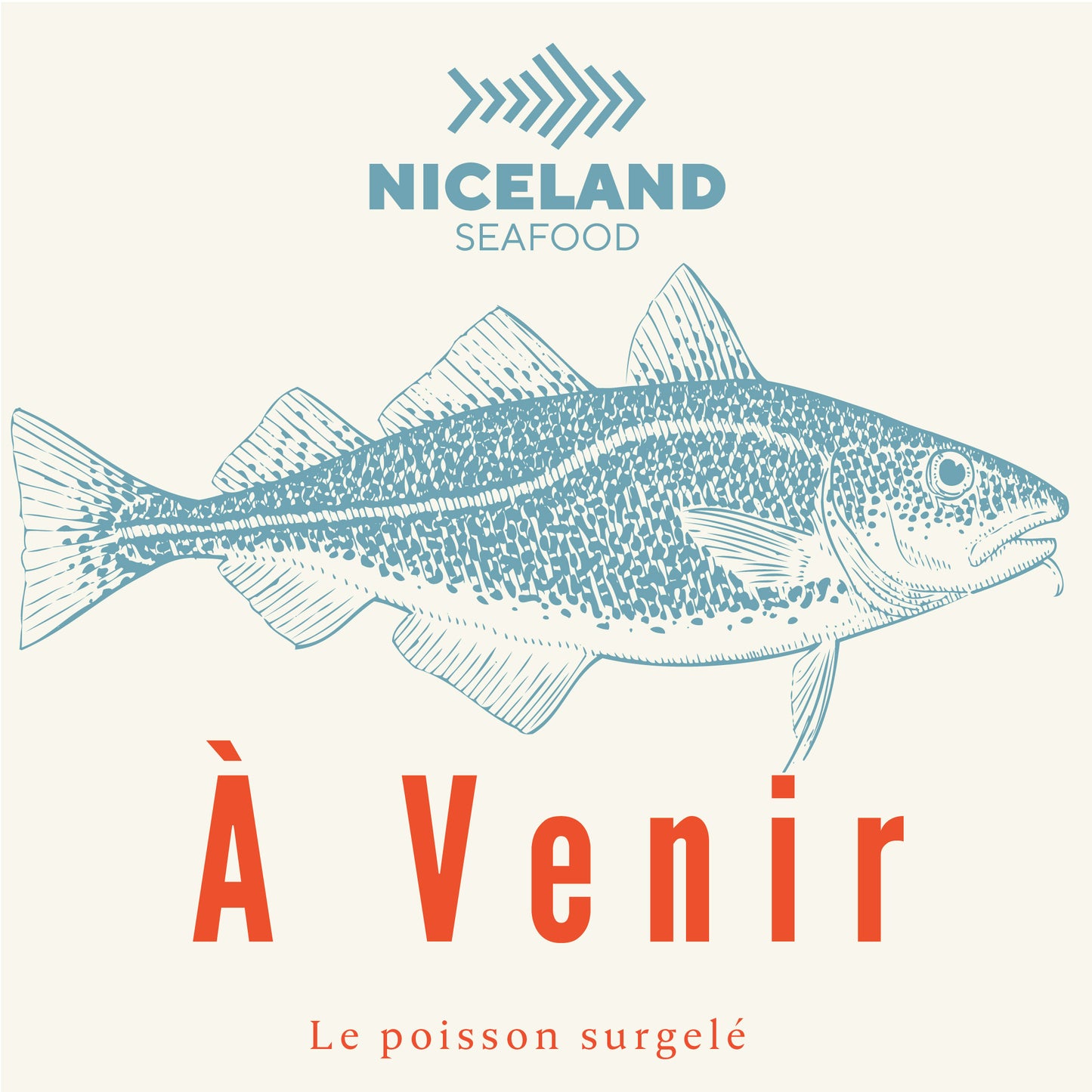 La Morue (Gadus morhua) Fillets / El Bacalao