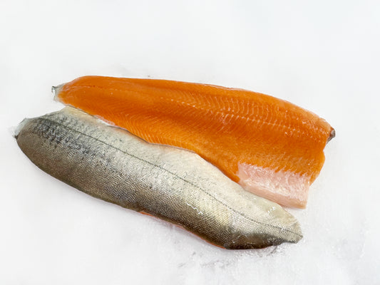 Omble chevalier (Salvelinus alpinus) Filet Avec peau