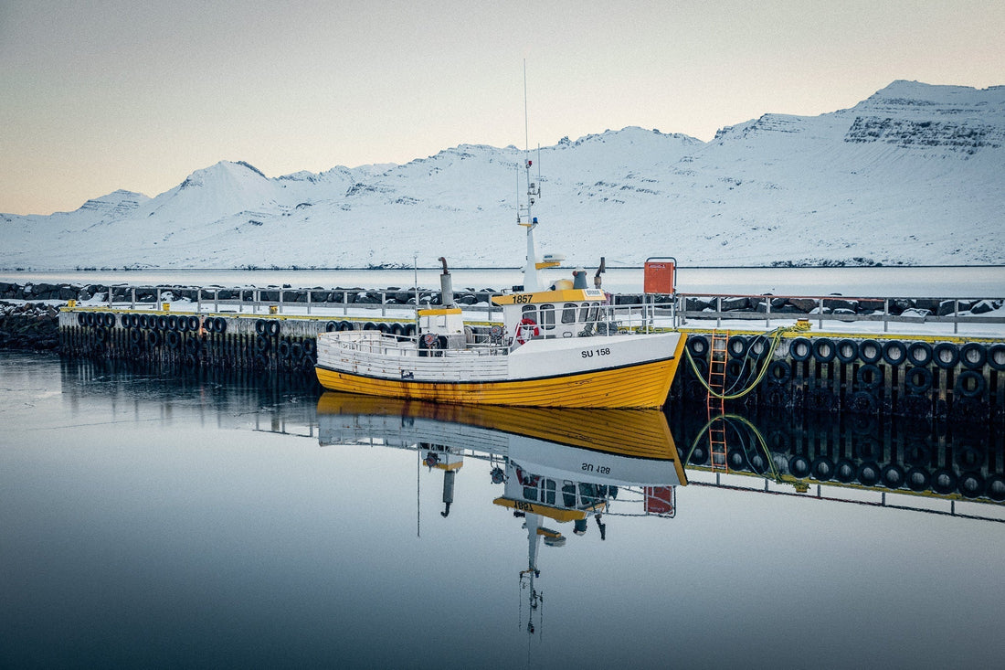 L’Honneur de la Ligne : Une Pêche Durable, du Fond des Mers jusqu’à l’Assiette