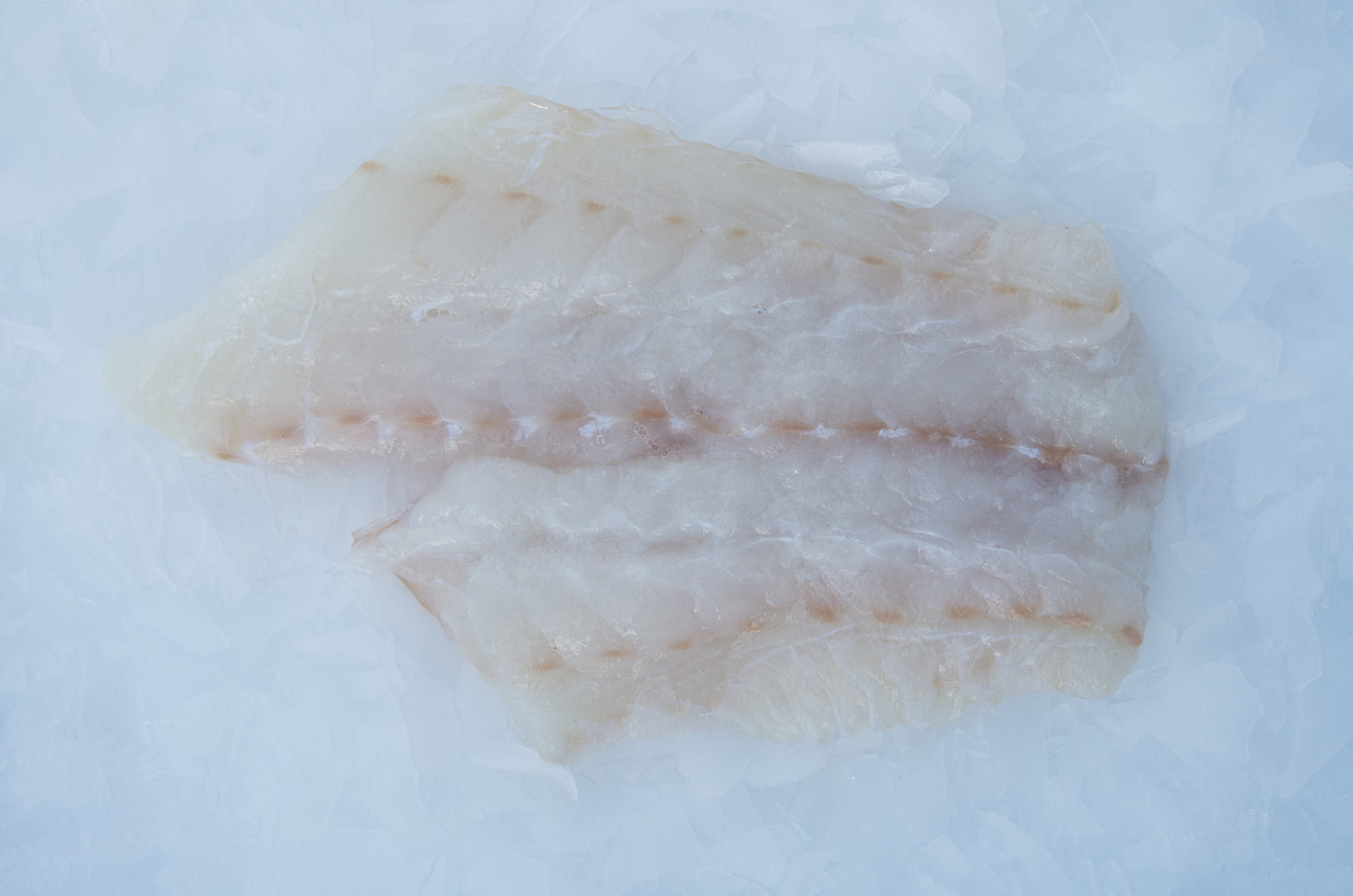 Cabillaud (Gadus morhua) Portion de Filet Sans peau