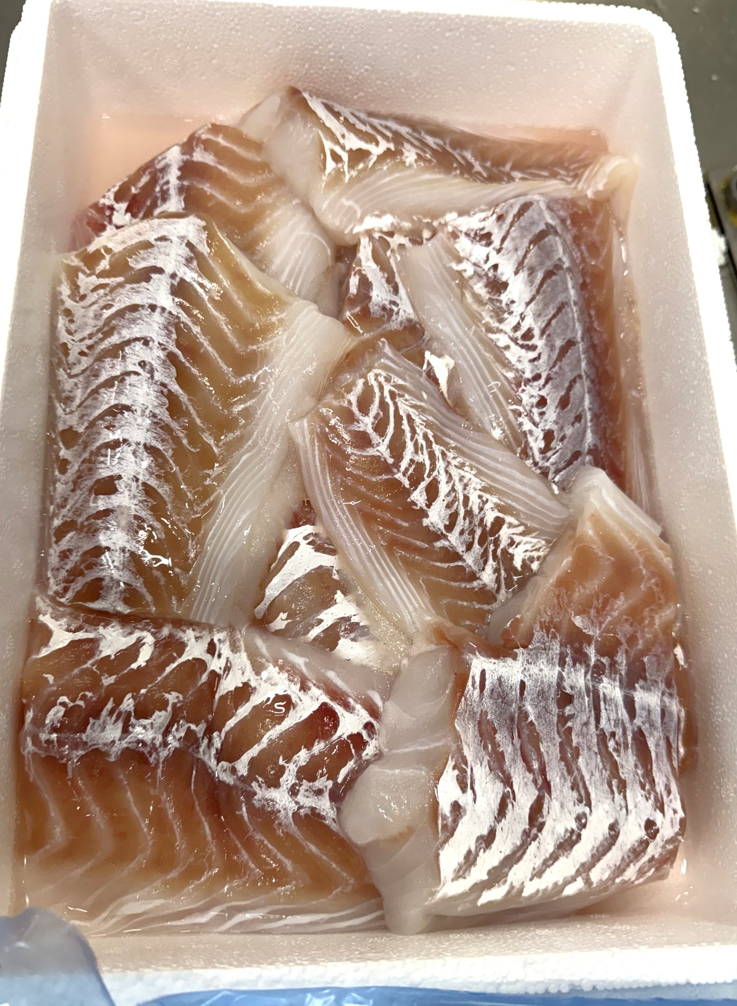 Cabillaud (Gadus morhua) Portion de Filet Sans peau