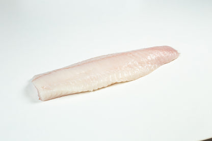 Loup de mer (Anarhichas lupus) Dos Sans Peau