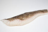 Cabillaud (Gadus morhua) Dos Avec peau