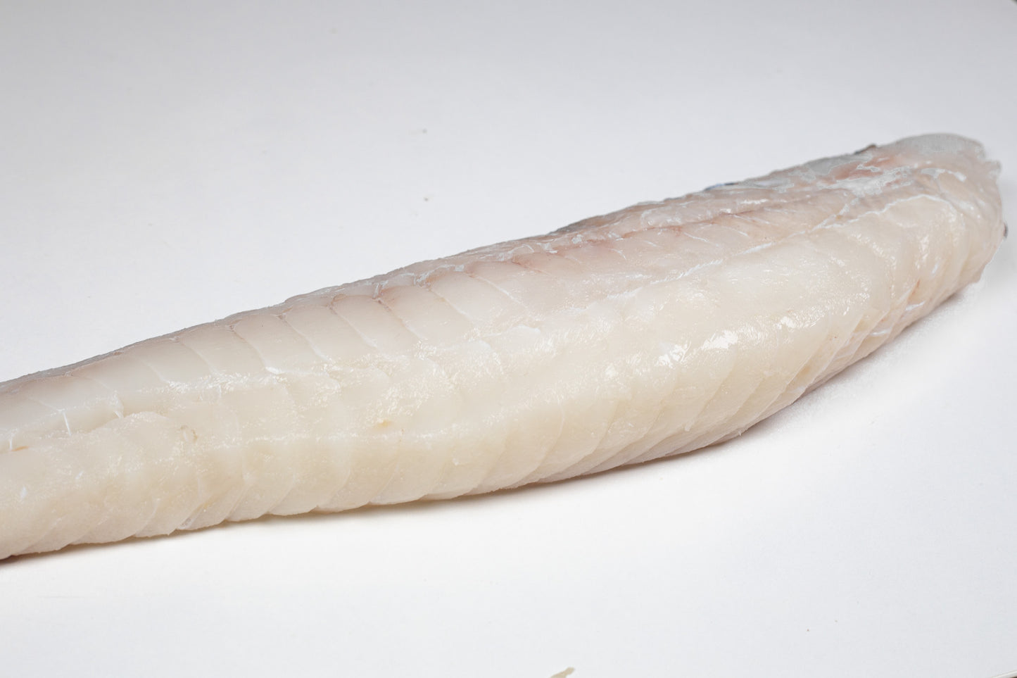 Cabillaud (Gadus morhua) Dos Avec peau