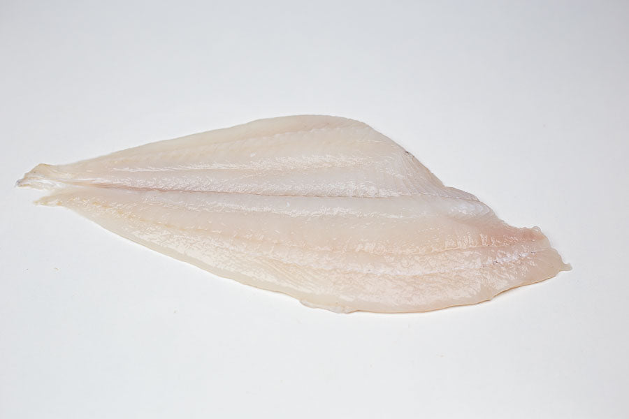 Plaice (Pleuronectes platessa) Fillet Skinless