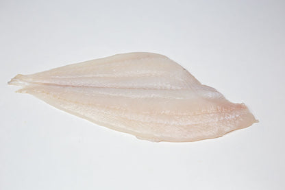 Plaice (Pleuronectes platessa) Fillet Skinless
