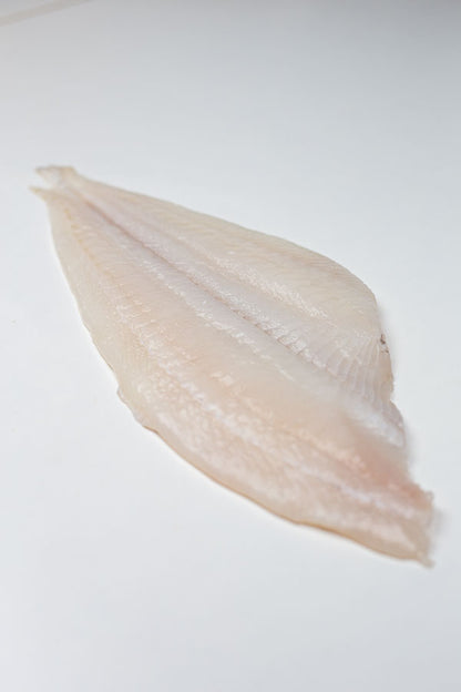 Plaice (Pleuronectes platessa) Fillet Skinless