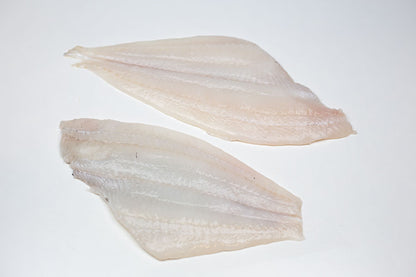 Plaice (Pleuronectes platessa) Fillet Skinless