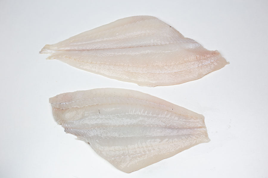Plaice (Pleuronectes platessa) Fillet Skinless
