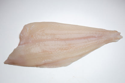 Filets de Flétan Blanc Sauvage Frais d'Islande