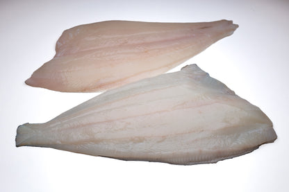Filet de flétan - congelé