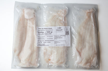 Filet de flétan - congelé