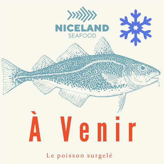 Portions de cabillaud congelées